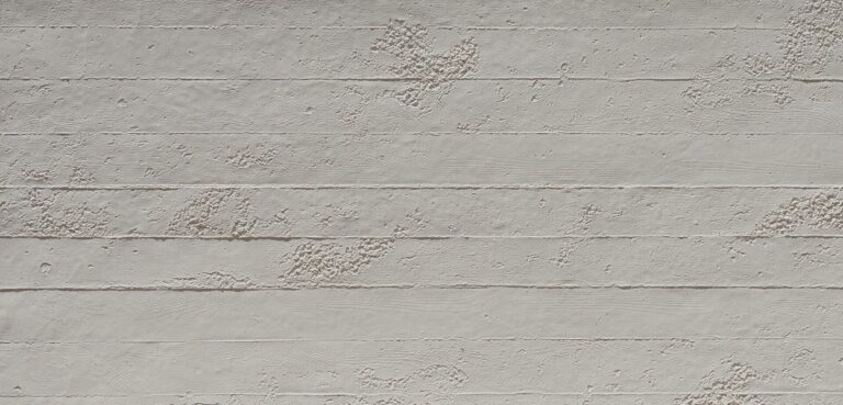 Exposed Concrete Fiberglass Wall Panel